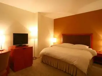 Al Nimran Hotel 7
